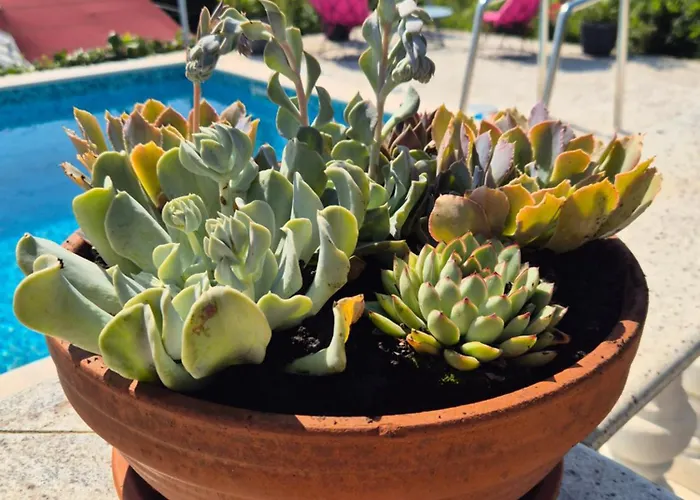 Srdoc Za 8 Osoba S Bazenom Апартаменты Шмрика