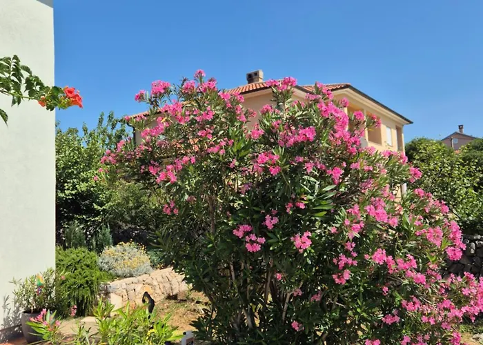 Srdoc Za 8 Osoba S Bazenom Apartman